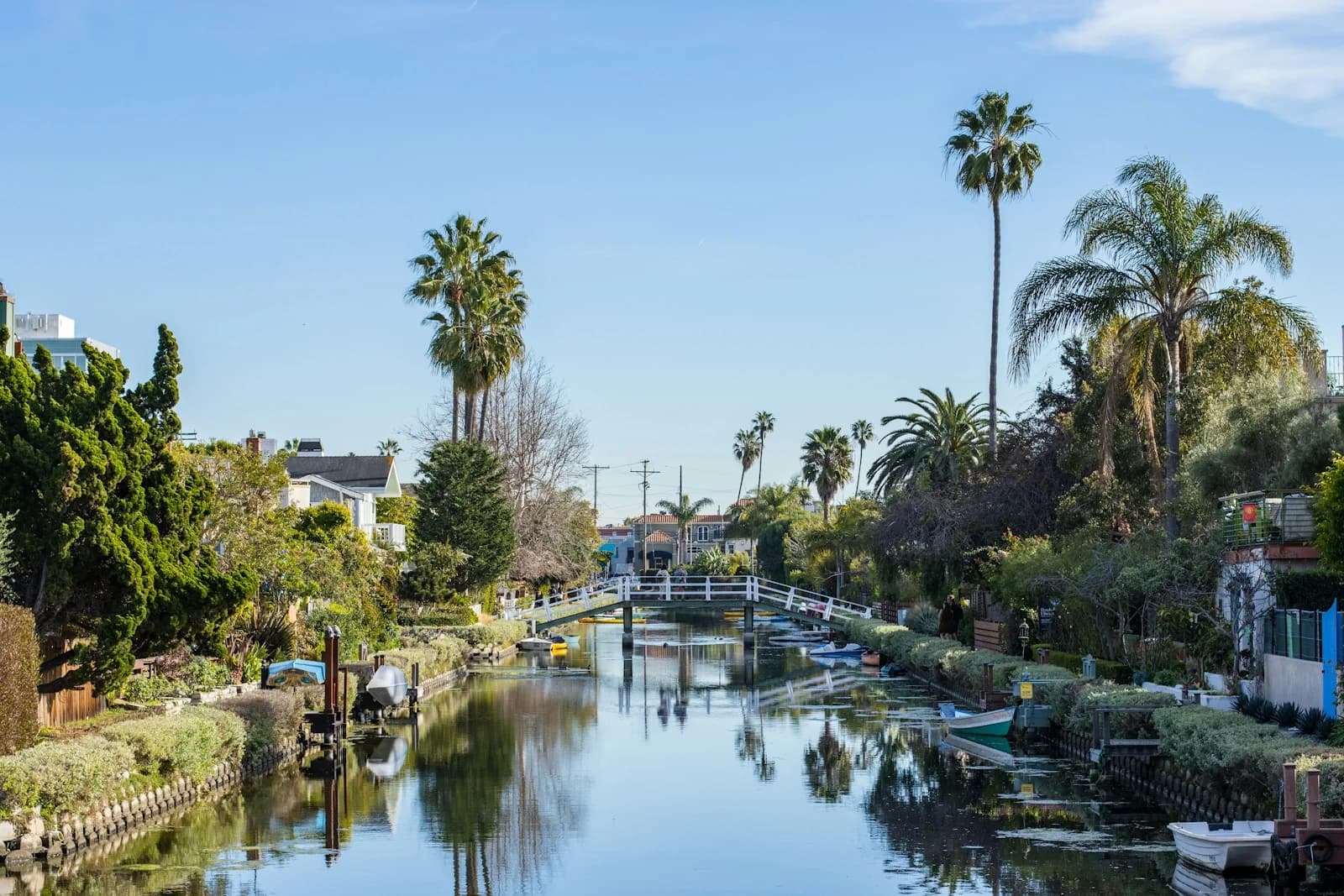 A white footbridge spans a canal lined with homes and palm trees in Venice, Los Angeles.